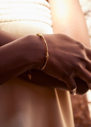 Polène Eroz Bangle Aurii | SN-PLN364986