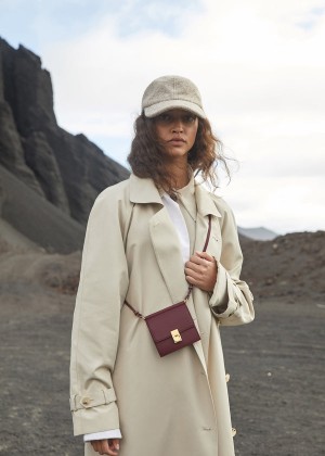 Polène Numéro Sept Crossbody Wallet Visinii | SN-PLN365055
