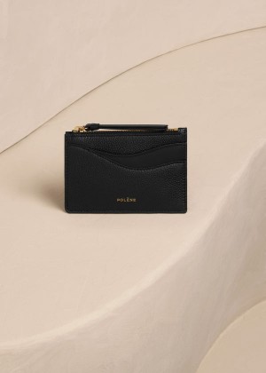 Polène Sierra Mini Pouch Negrii | SN-PLN365013